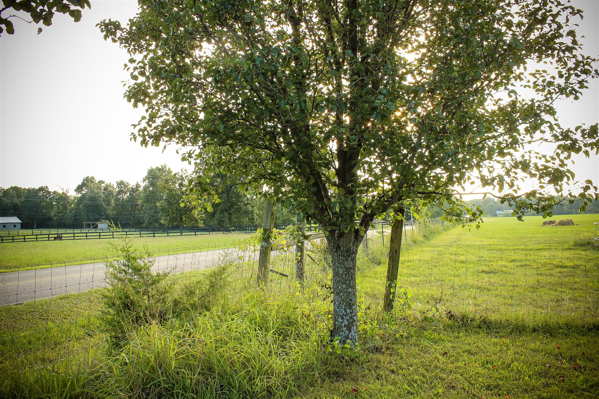 9301 Sims Road Christiana, TN 37037 - Photo 23 of 30 Gallery Image 23
