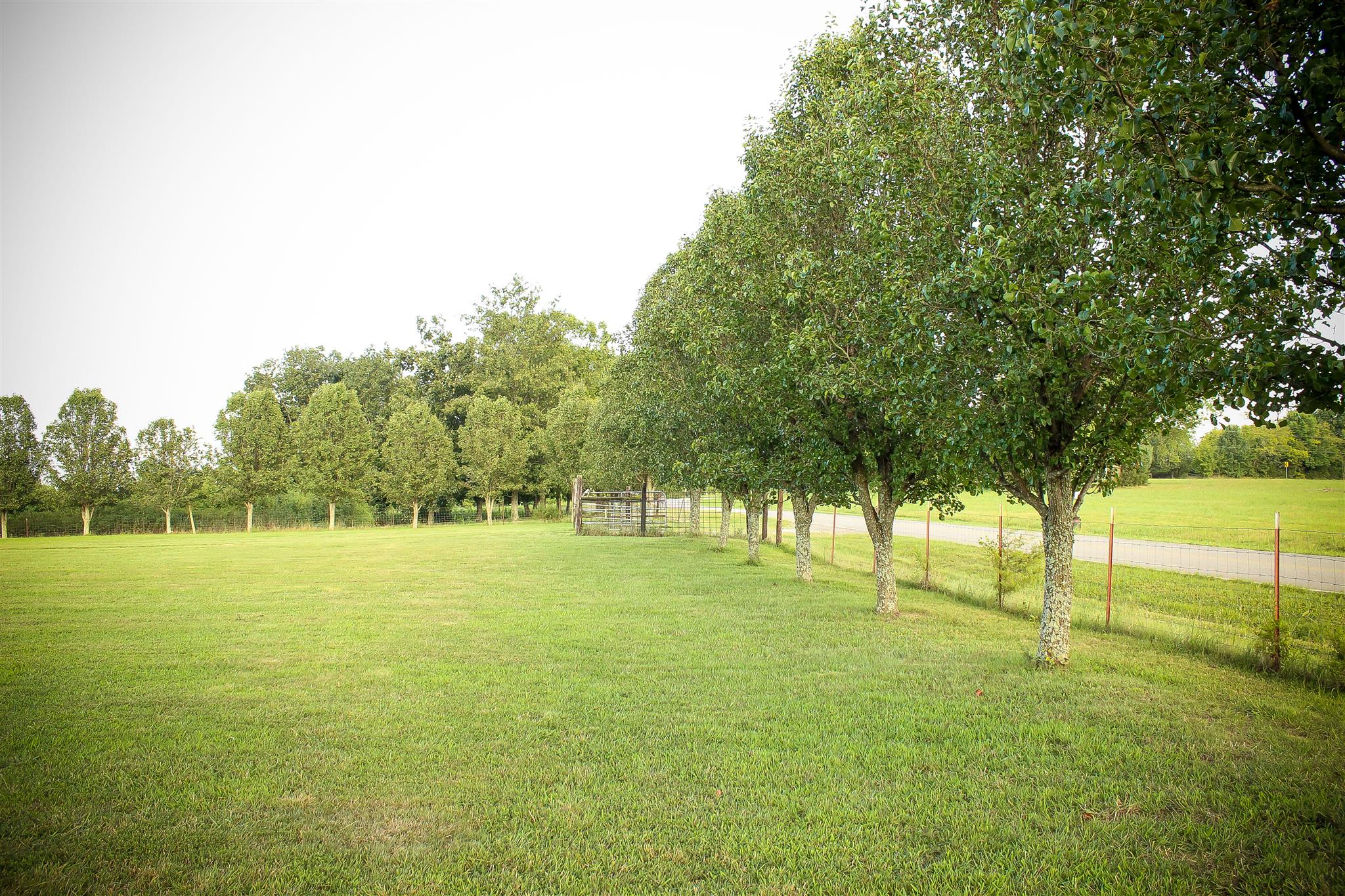 9301 Sims Road Christiana, TN 37037 - Photo 25 of 30 Gallery Image 25