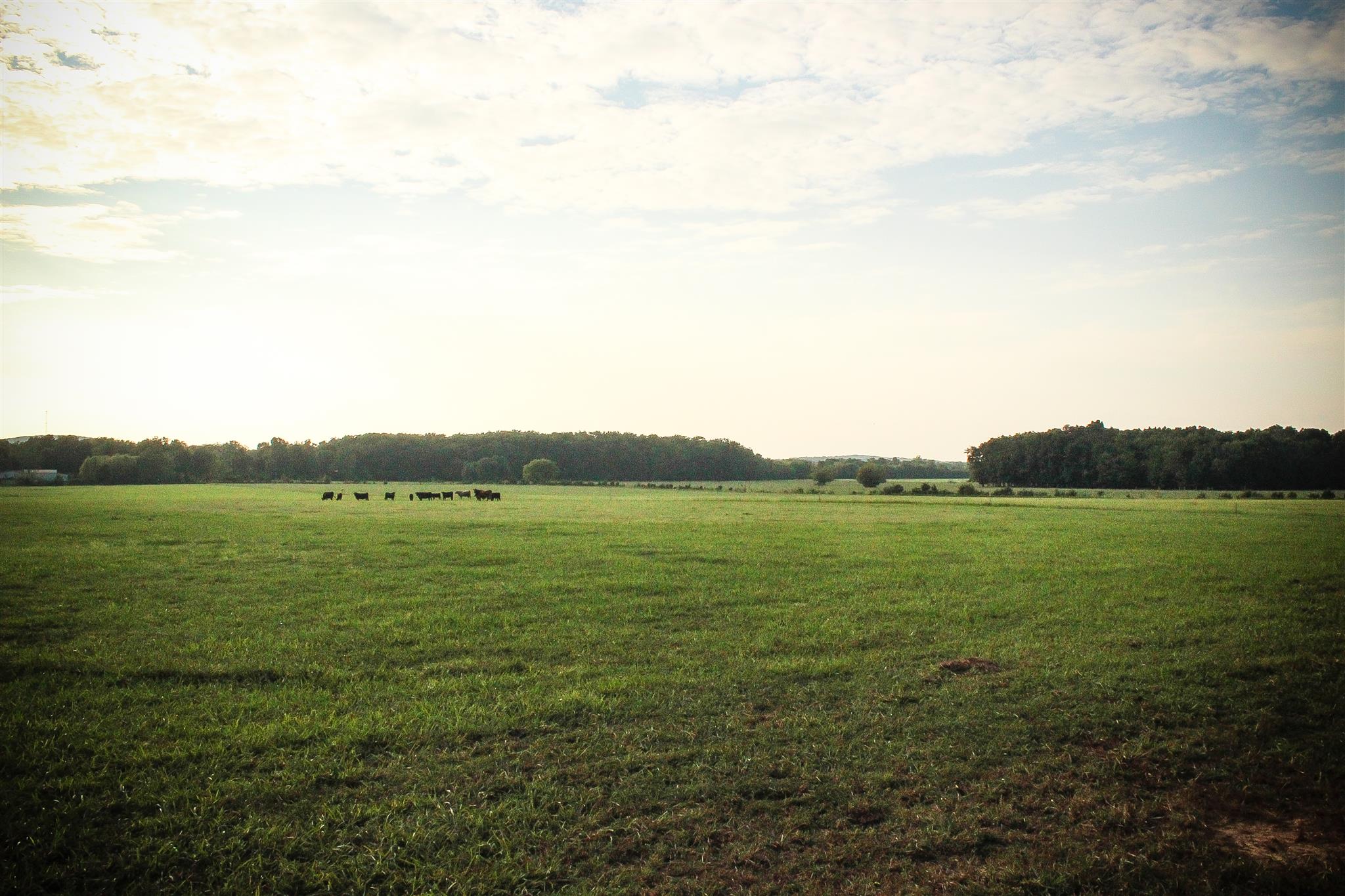 9301 Sims Road Christiana, TN 37037 - Photo 26 of 30 Gallery Image 26