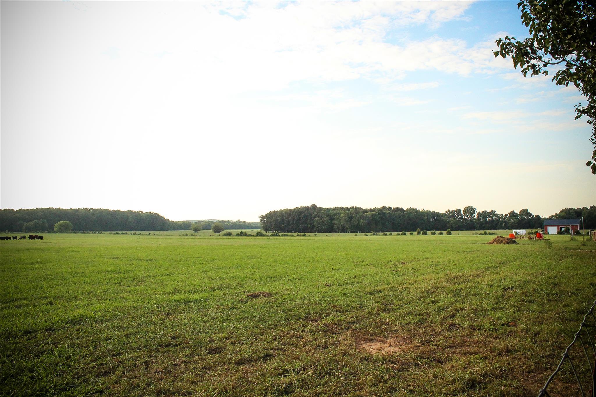 9301 Sims Road Christiana, TN 37037 - Photo 27 of 30 Gallery Image 27