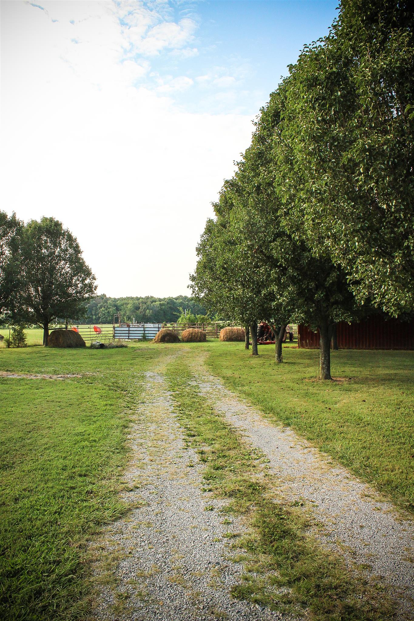 9301 Sims Road Christiana, TN 37037 - Photo 4 of 30 Gallery Image 4
