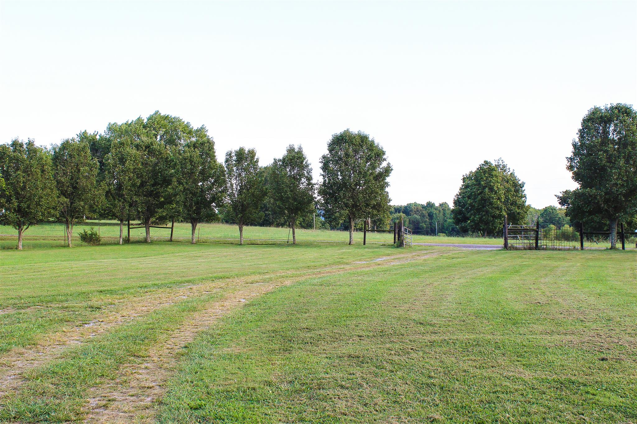 9301 Sims Road Christiana, TN 37037 - Photo 5 of 30 Gallery Image 5