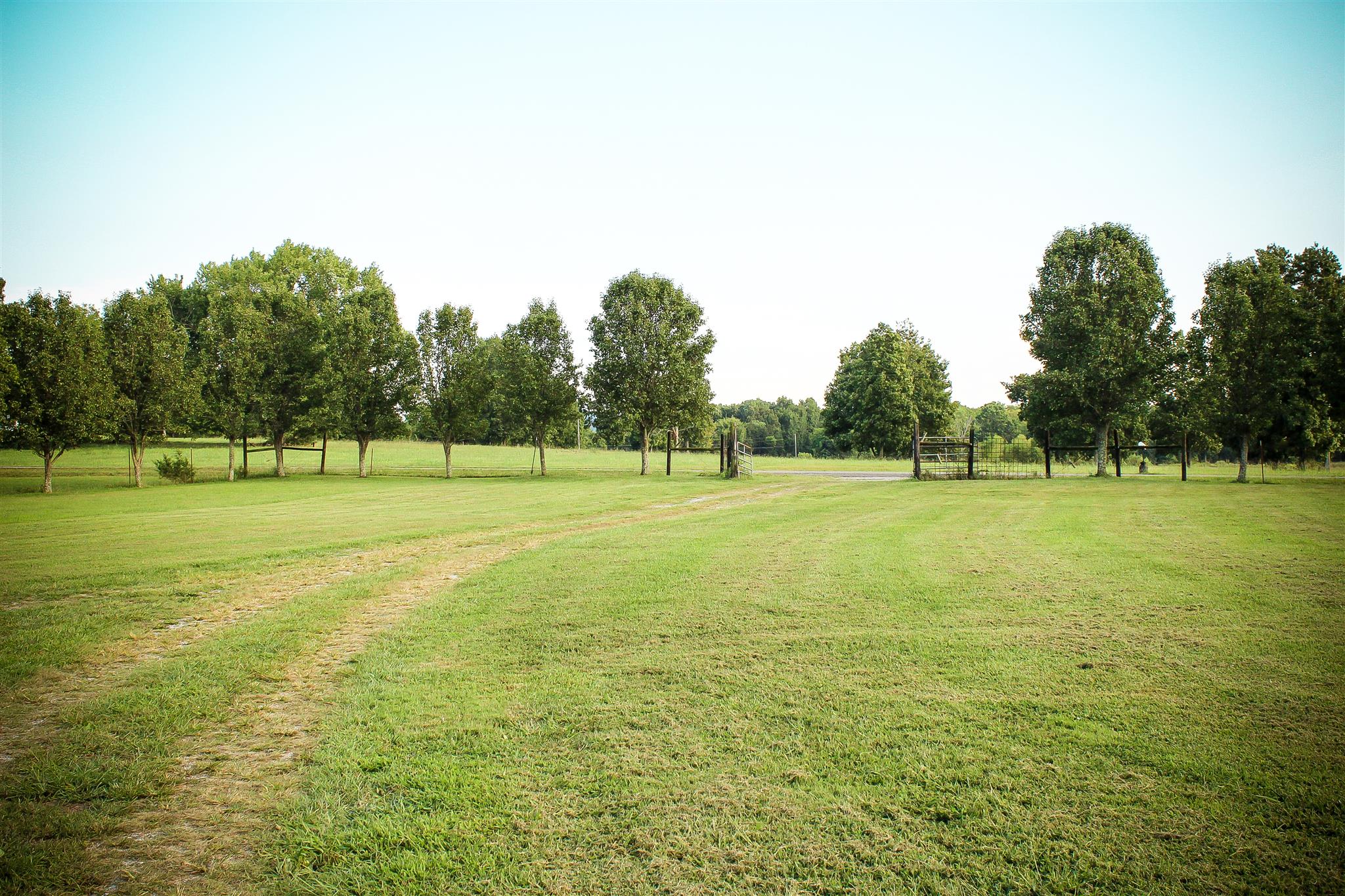 9301 Sims Road Christiana, TN 37037 - Photo 8 of 30 Gallery Image 8