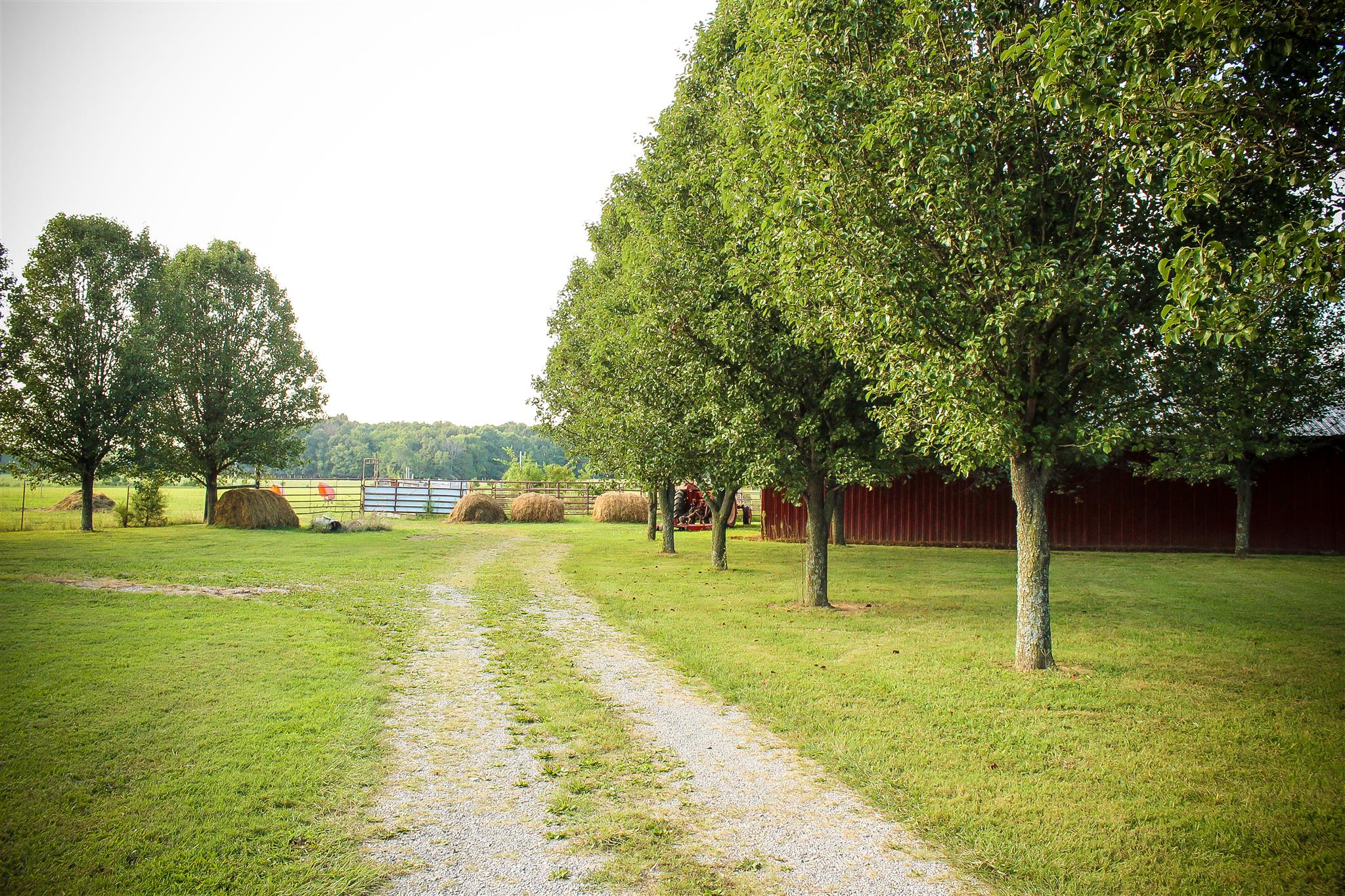 9301 Sims Road Christiana, TN 37037 - Photo 9 of 30 Gallery Image 9