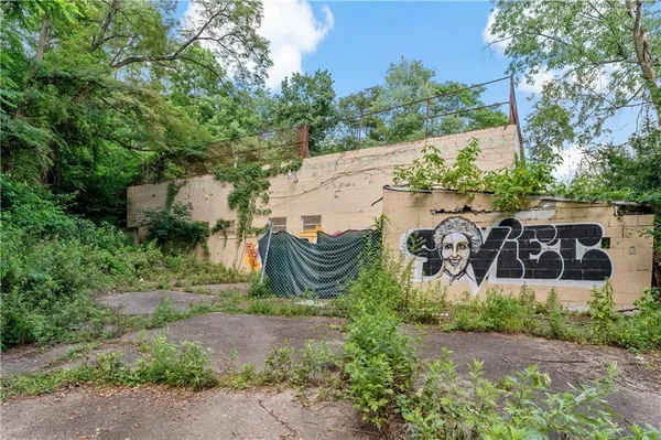 a view of a back yard