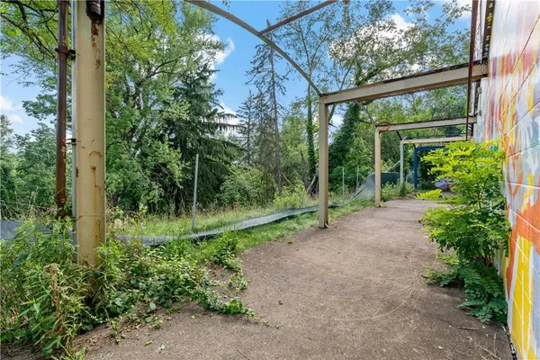 a view of a back yard