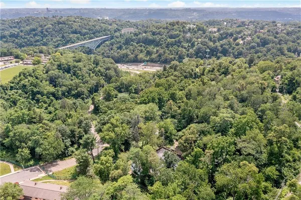 an aerial view of forest