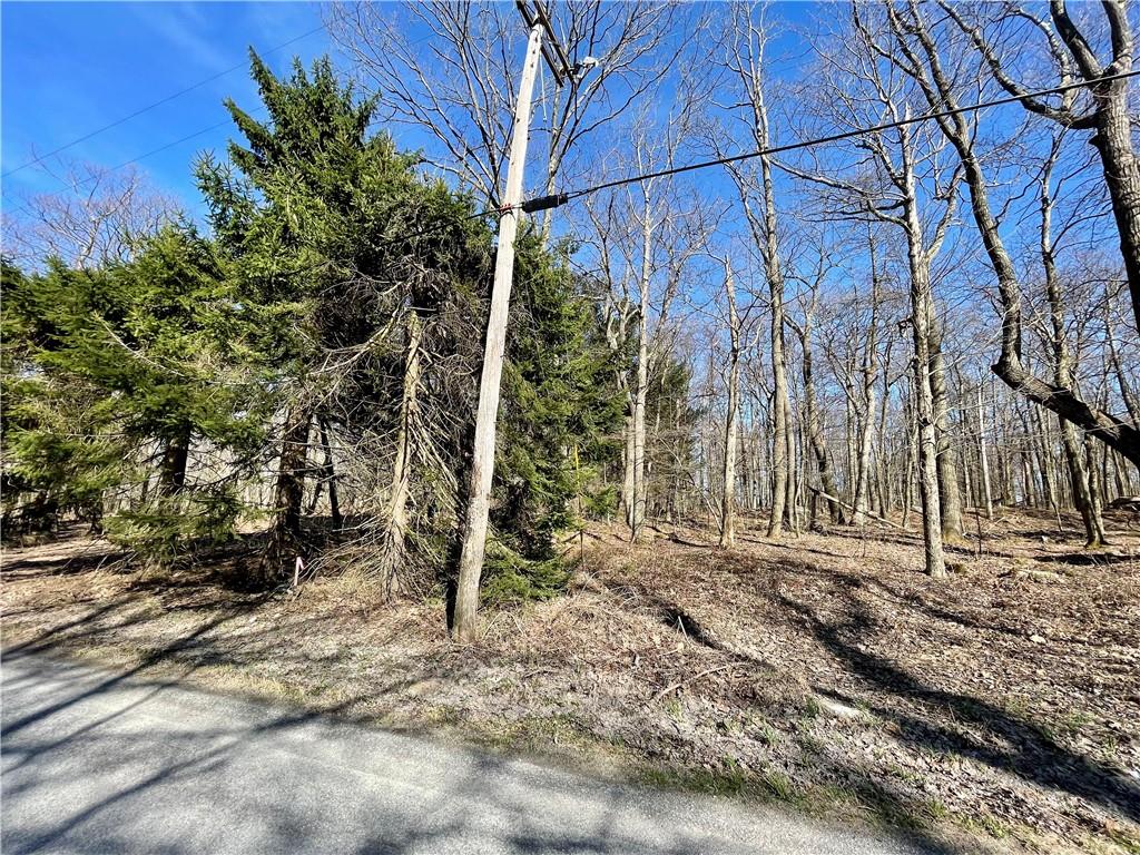 13-14 15 16 Laurel Summit Road Boswell, PA 15531 - Photo 11 of 46 a backyard of a house with lots of green space