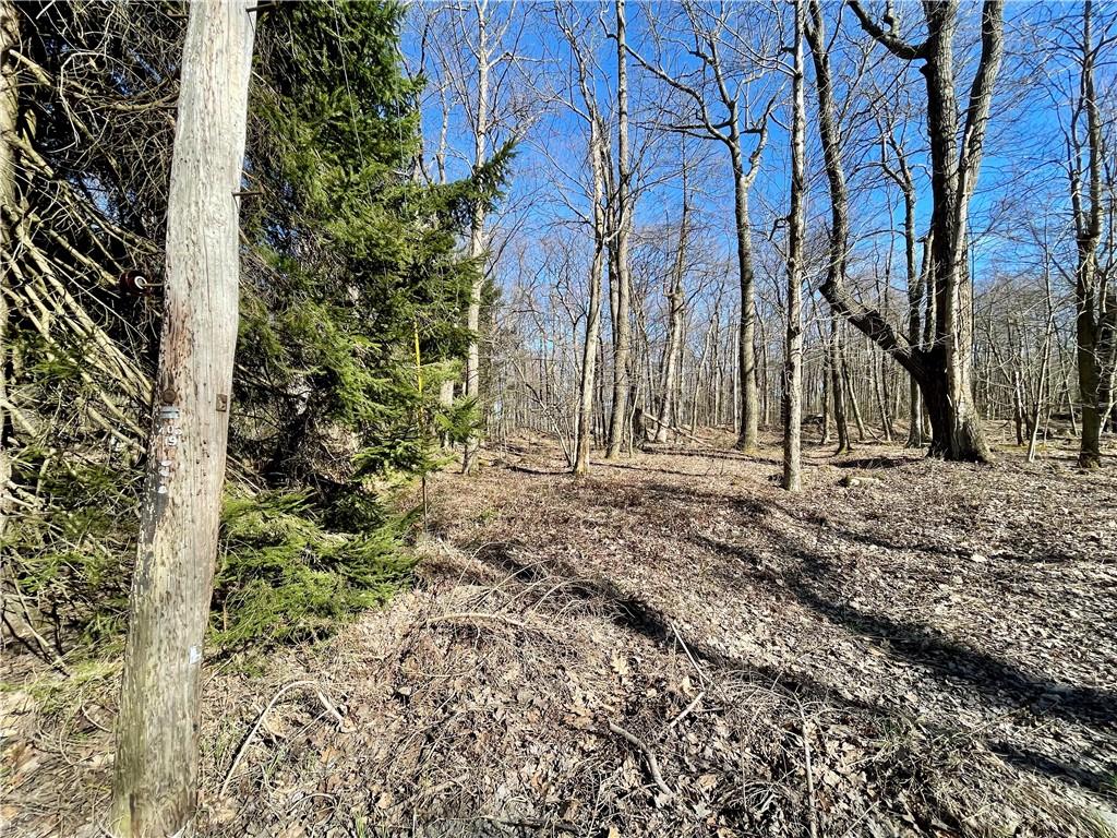 13-14 15 16 Laurel Summit Road Boswell, PA 15531 - Photo 12 of 46 a backyard of a house with lots of green space