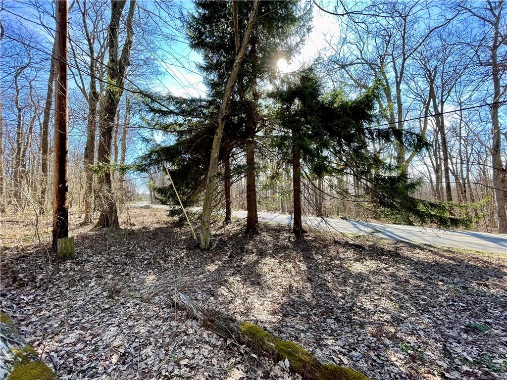 13-14 15 16 Laurel Summit Road Boswell, PA 15531 - Photo 13 of 46 a backyard of a house with lots of green space