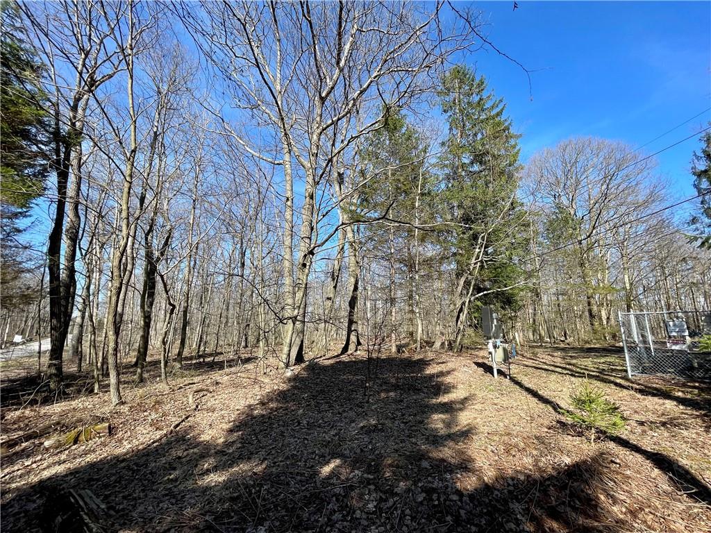 13-14 15 16 Laurel Summit Road Boswell, PA 15531 - Photo 14 of 46 a view of outdoor space with yard