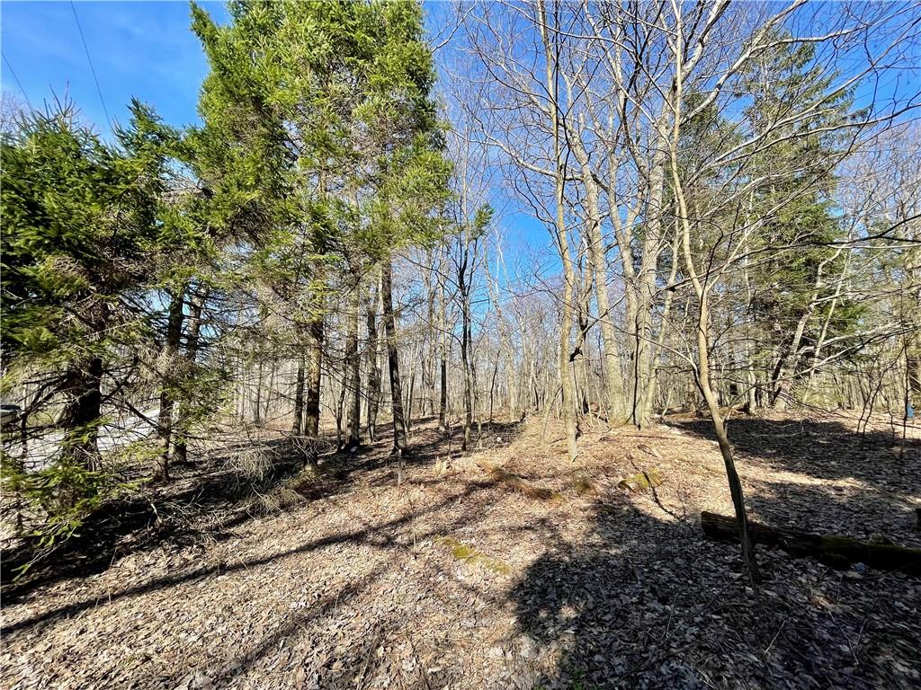 13-14 15 16 Laurel Summit Road Boswell, PA 15531 - Photo 15 of 46 a backyard of a house