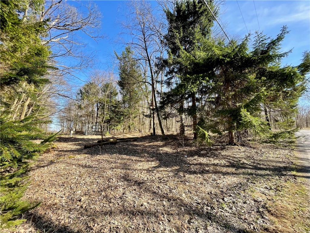 13-14 15 16 Laurel Summit Road Boswell, PA 15531 - Photo 16 of 46 a view of a yard with a tree