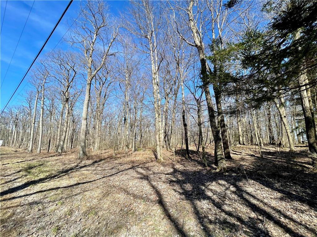 13-14 15 16 Laurel Summit Road Boswell, PA 15531 - Photo 18 of 46 a view of a backyard of the house