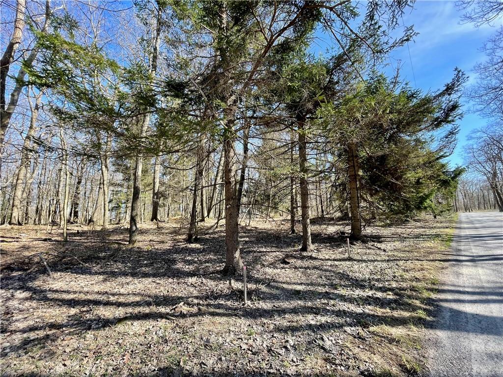 13-14 15 16 Laurel Summit Road Boswell, PA 15531 - Photo 19 of 46 a backyard of a house with lots of trees