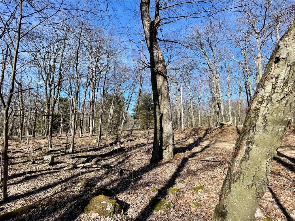 13-14 15 16 Laurel Summit Road Boswell, PA 15531 - Photo 2 of 46 a view of a yard