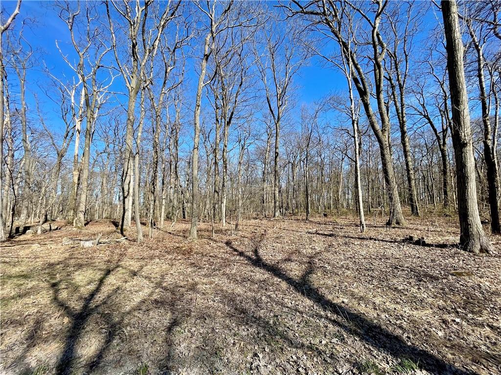 13-14 15 16 Laurel Summit Road Boswell, PA 15531 - Photo 22 of 46 a view of dirt yard with a large tree