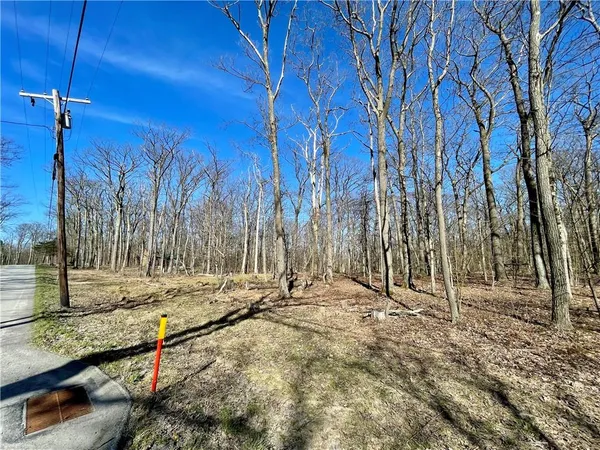 a view of tall trees with wooden fence