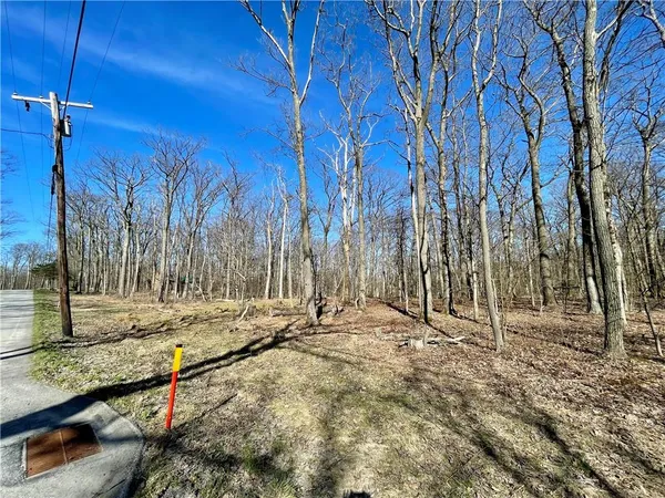 a view of a backyard with wooden fence