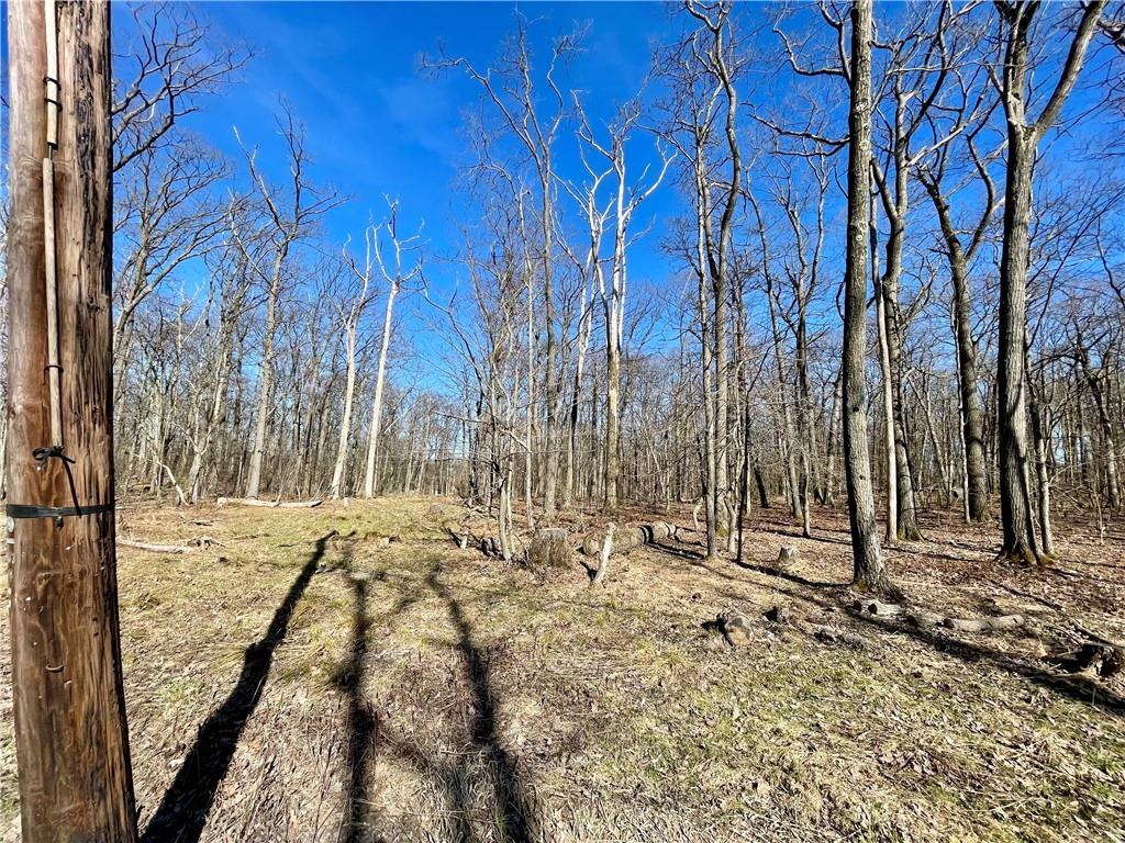 13-14 15 16 Laurel Summit Road Boswell, PA 15531 - Photo 25 of 46 a view of a backyard of the house