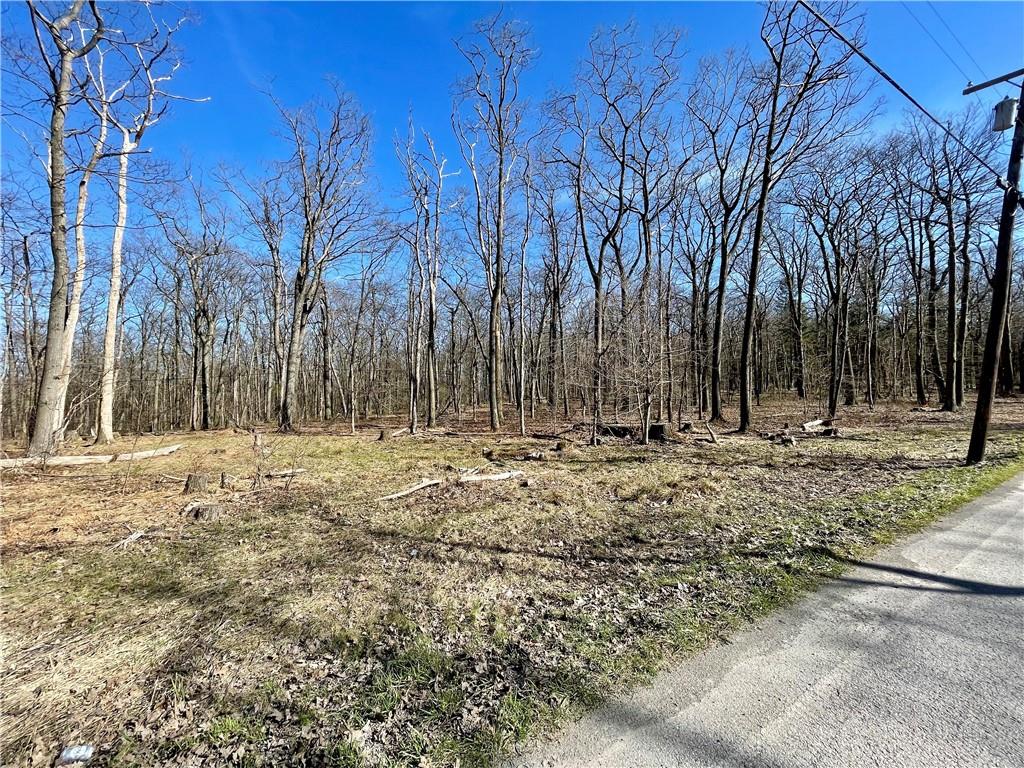13-14 15 16 Laurel Summit Road Boswell, PA 15531 - Photo 26 of 46 a view of yard with trees