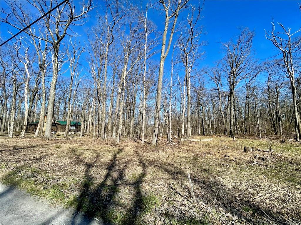 13-14 15 16 Laurel Summit Road Boswell, PA 15531 - Photo 28 of 46 a view of dirt yard with large trees