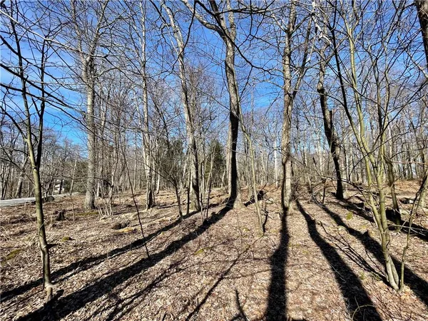 a view of a yard with trees
