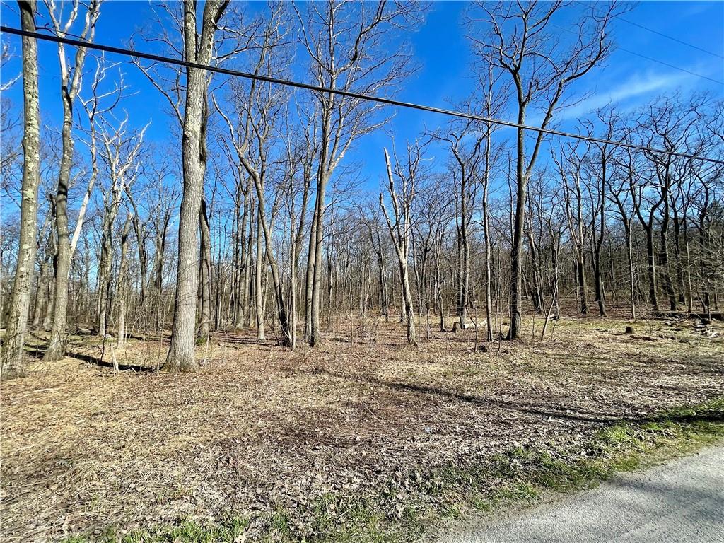 13-14 15 16 Laurel Summit Road Boswell, PA 15531 - Photo 31 of 46 a backyard of a house with lots of green space