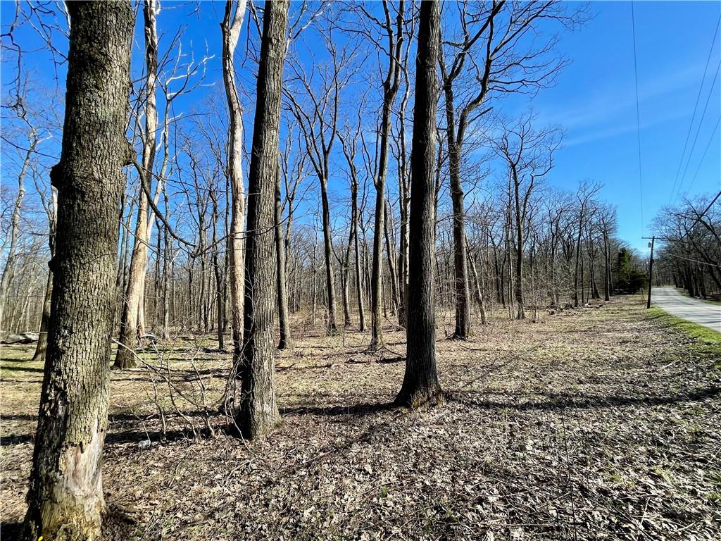 13-14 15 16 Laurel Summit Road Boswell, PA 15531 - Photo 33 of 46 a view of a yard with a tree