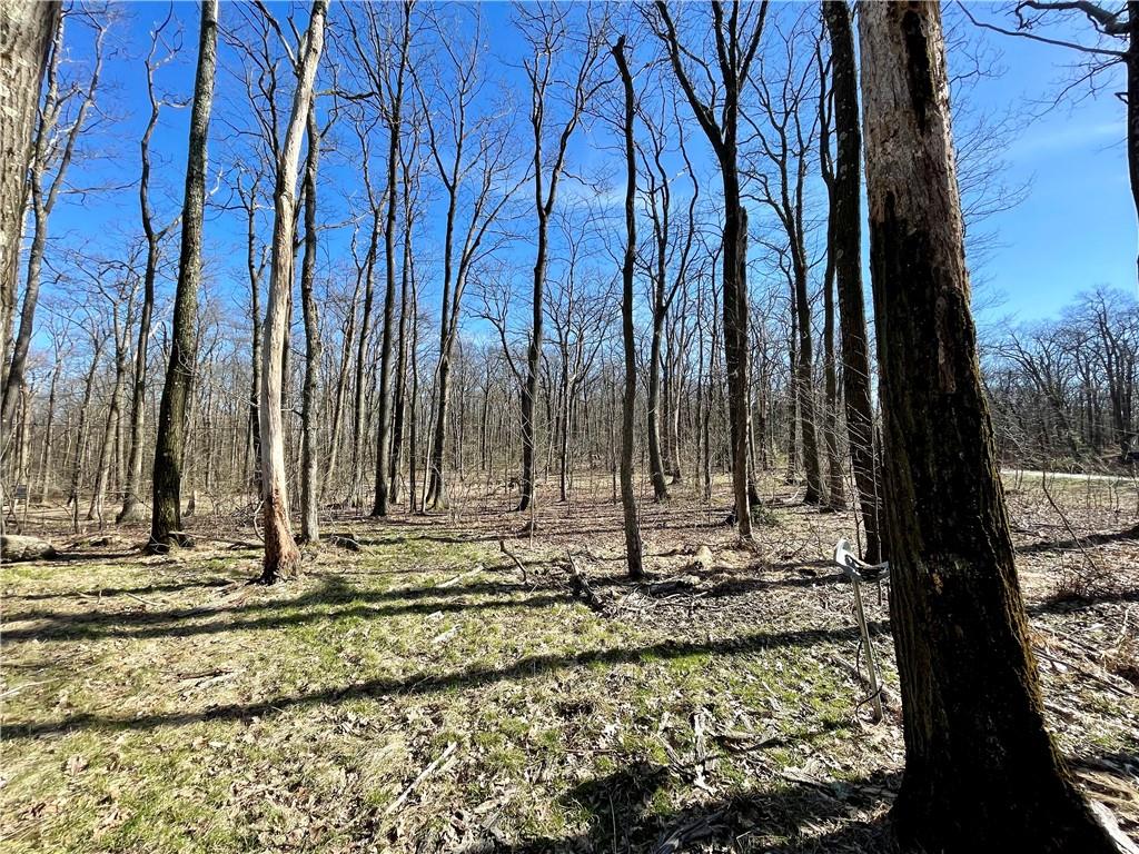 13-14 15 16 Laurel Summit Road Boswell, PA 15531 - Photo 34 of 46 a view of a backyard with of the house