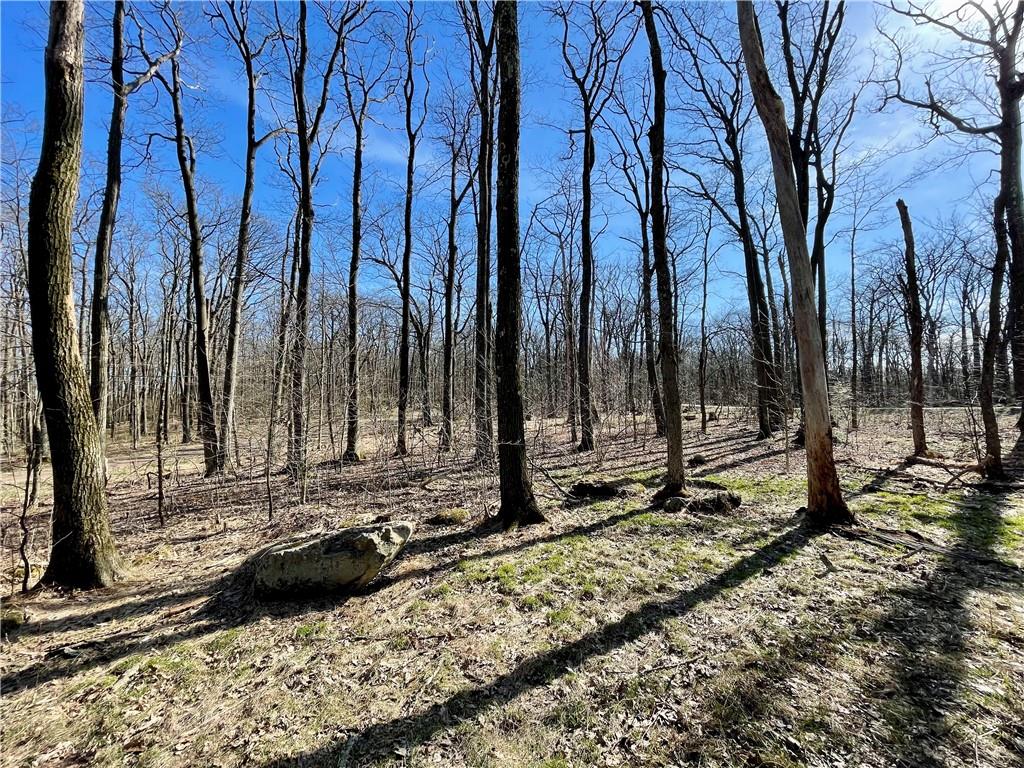 13-14 15 16 Laurel Summit Road Boswell, PA 15531 - Photo 35 of 46 a view of a park with large trees