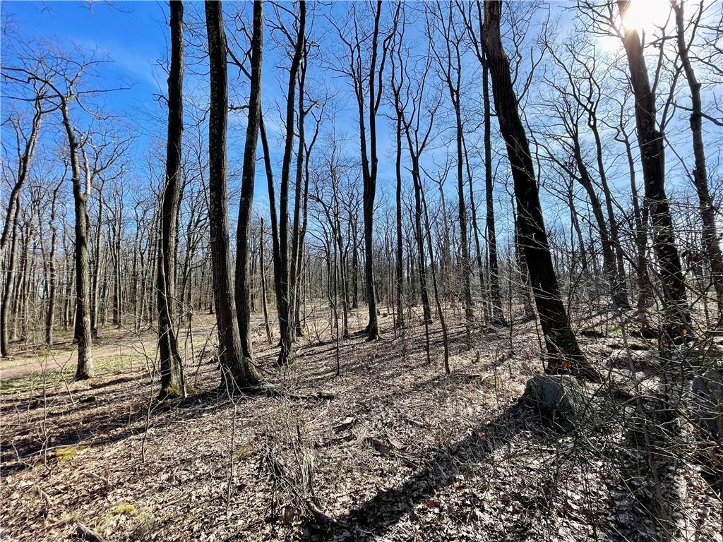 13-14 15 16 Laurel Summit Road Boswell, PA 15531 - Photo 36 of 46 a view of outdoor space with lots of trees