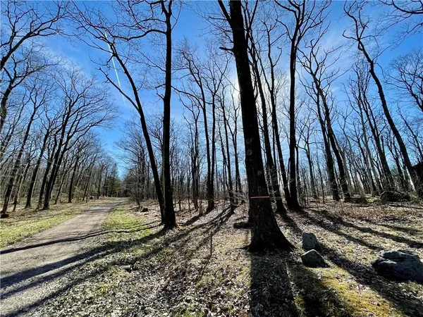 a view of a backyard with a tree