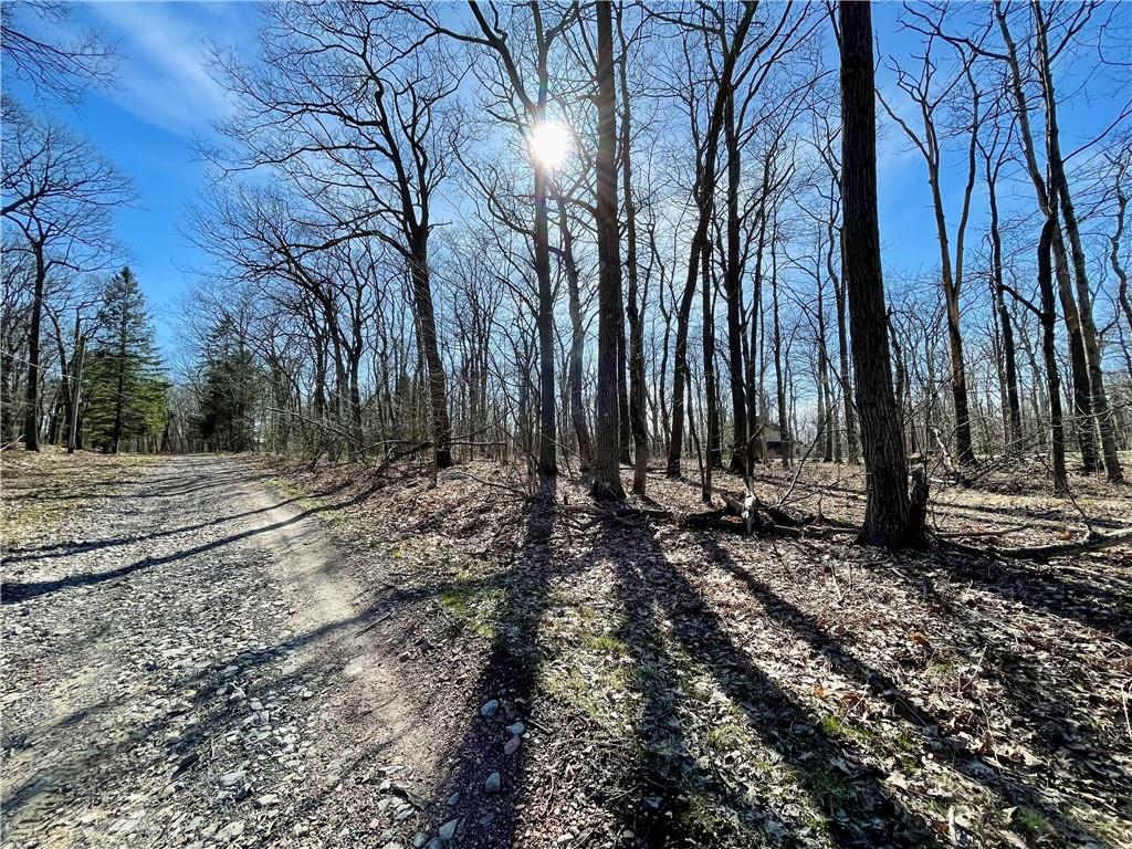 13-14 15 16 Laurel Summit Road Boswell, PA 15531 - Photo 38 of 46 a view of a backyard with large trees