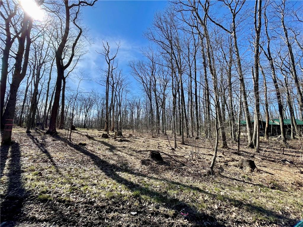 13-14 15 16 Laurel Summit Road Boswell, PA 15531 - Photo 40 of 46 a backyard of a house with lots of green space