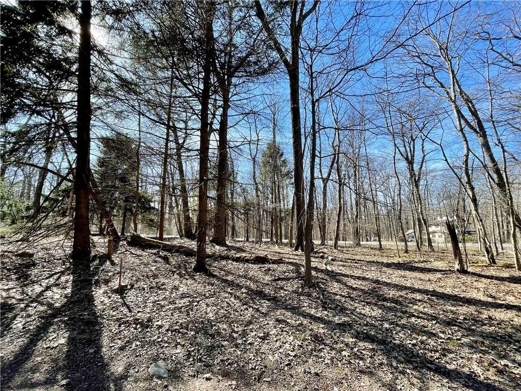 13-14 15 16 Laurel Summit Road Boswell, PA 15531 - Photo 42 of 46 a view of outdoor space with deck and trees