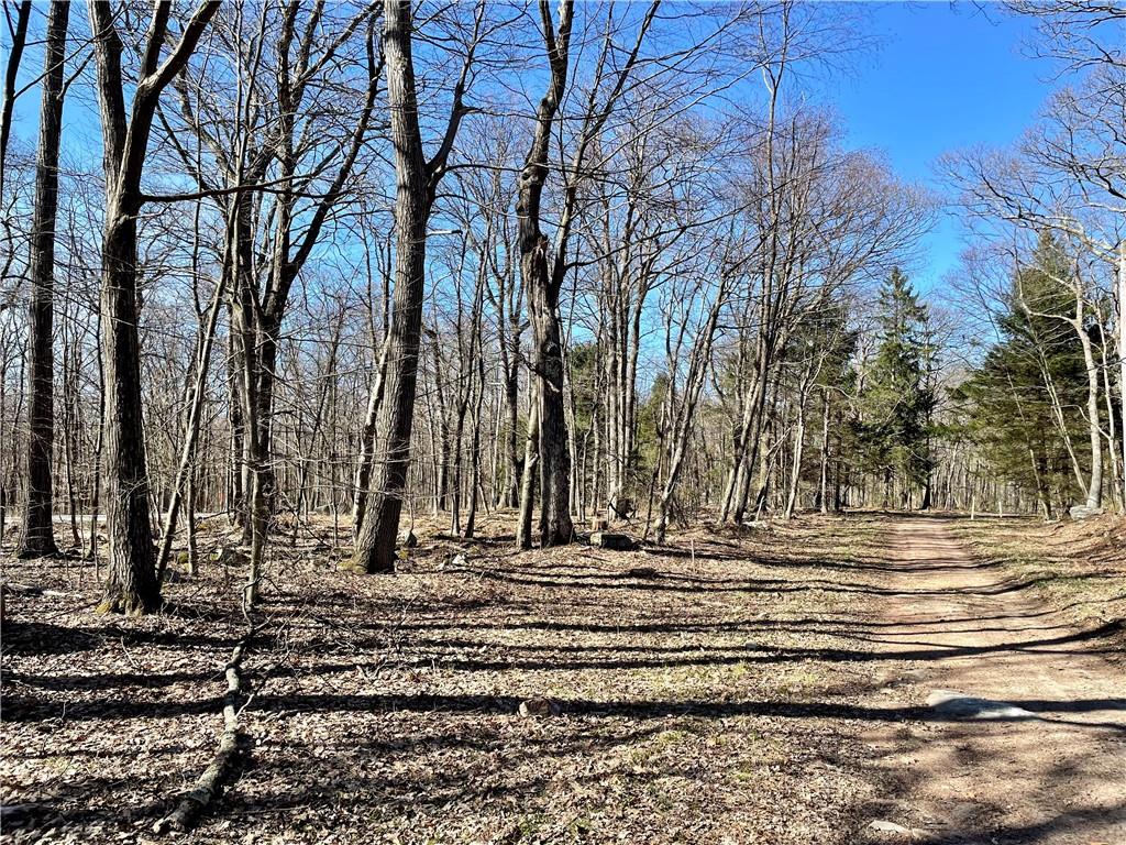 13-14 15 16 Laurel Summit Road Boswell, PA 15531 - Photo 43 of 46 a view of a backyard of the house