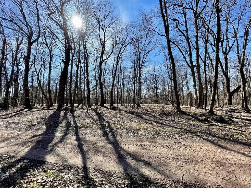 13-14 15 16 Laurel Summit Road Boswell, PA 15531 - Photo 46 of 46 a view of a backyard of the house