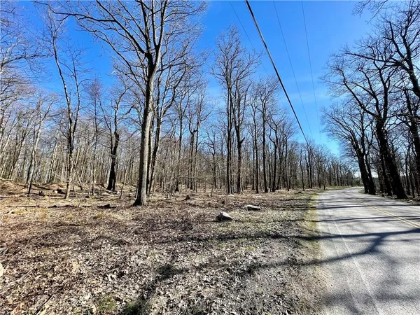 a view of dirt yard with large trees