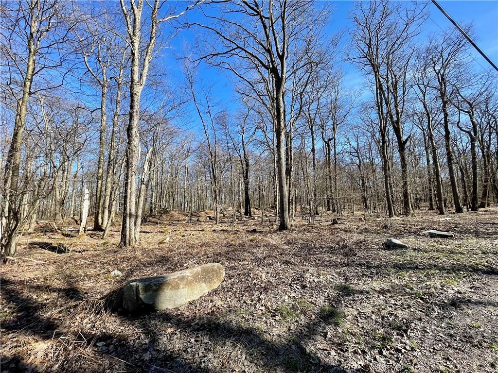 13-14 15 16 Laurel Summit Road Boswell, PA 15531 - Photo 7 of 46 a backyard of a house with lots of green space