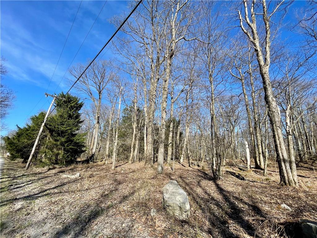 13-14 15 16 Laurel Summit Road Boswell, PA 15531 - Photo 8 of 46 a backyard of a house with lots of green space