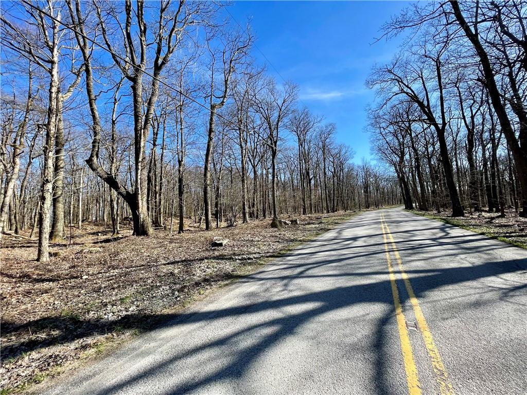 13-14 15 16 Laurel Summit Road Boswell, PA 15531 - Photo 9 of 46 a view of a yard with trees