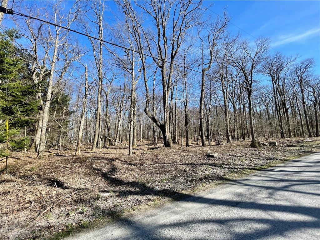 13-14 15 16 Laurel Summit Road Boswell, PA 15531 - Photo 10 of 46 a view of a backyard with large trees