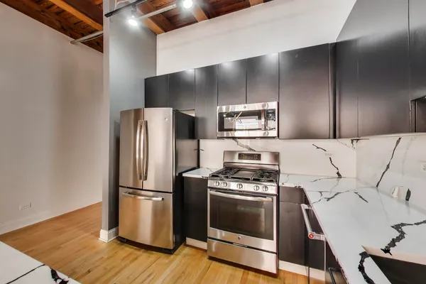 $3,000 | 1133 South Wabash Avenue, Unit 303, Chicago, IL 60605