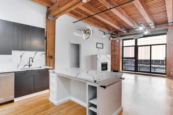 $3,000 | 1133 South Wabash Avenue, Unit 303, Chicago, IL 60605