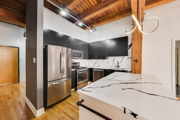 $3,000 | 1133 South Wabash Avenue, Unit 303, Chicago, IL 60605