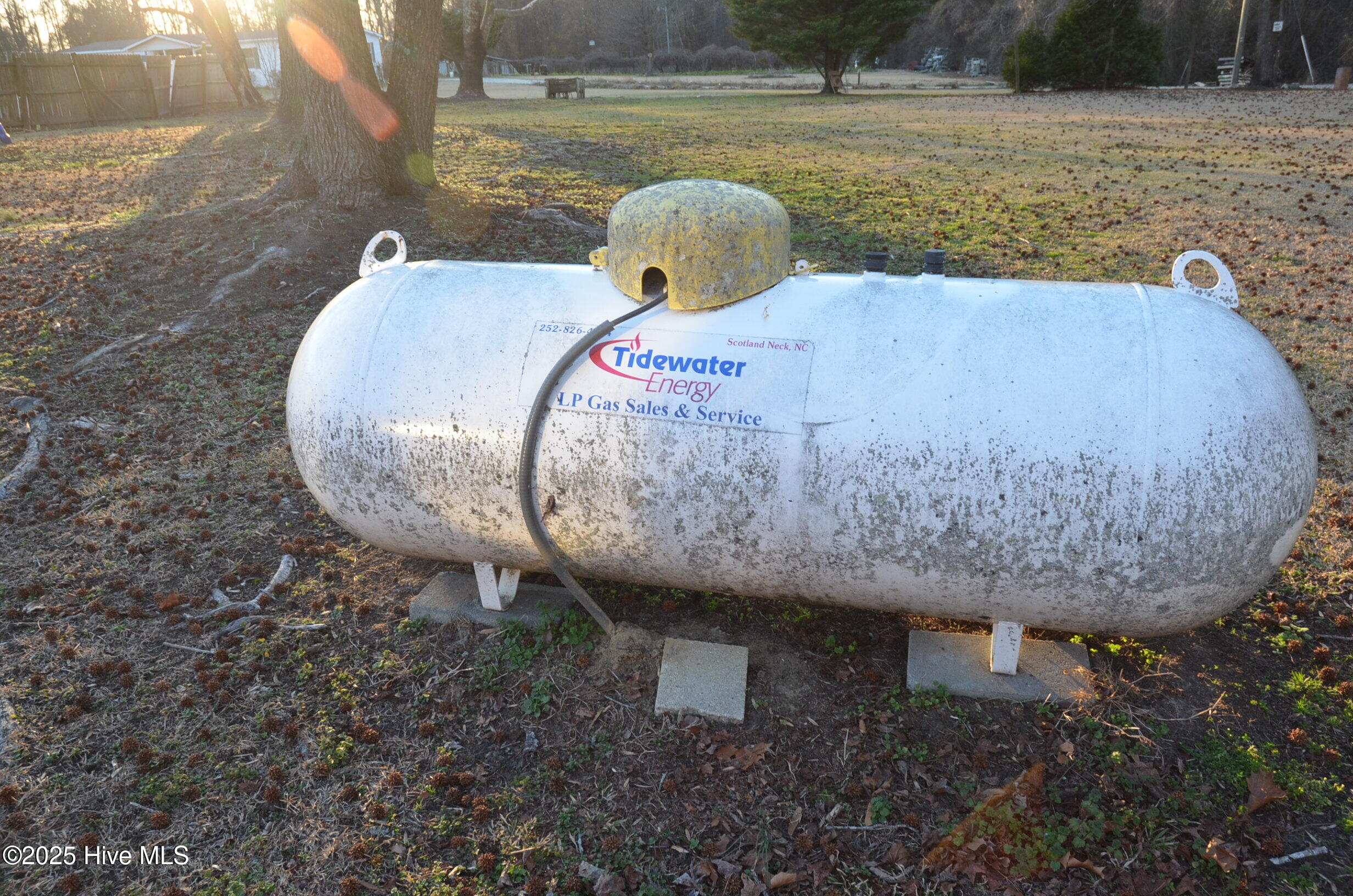 12652 Highway 258 Scotland Neck, NC 27874 - Photo 23 of 26 Tidewater Energy-Propane tank in backyard