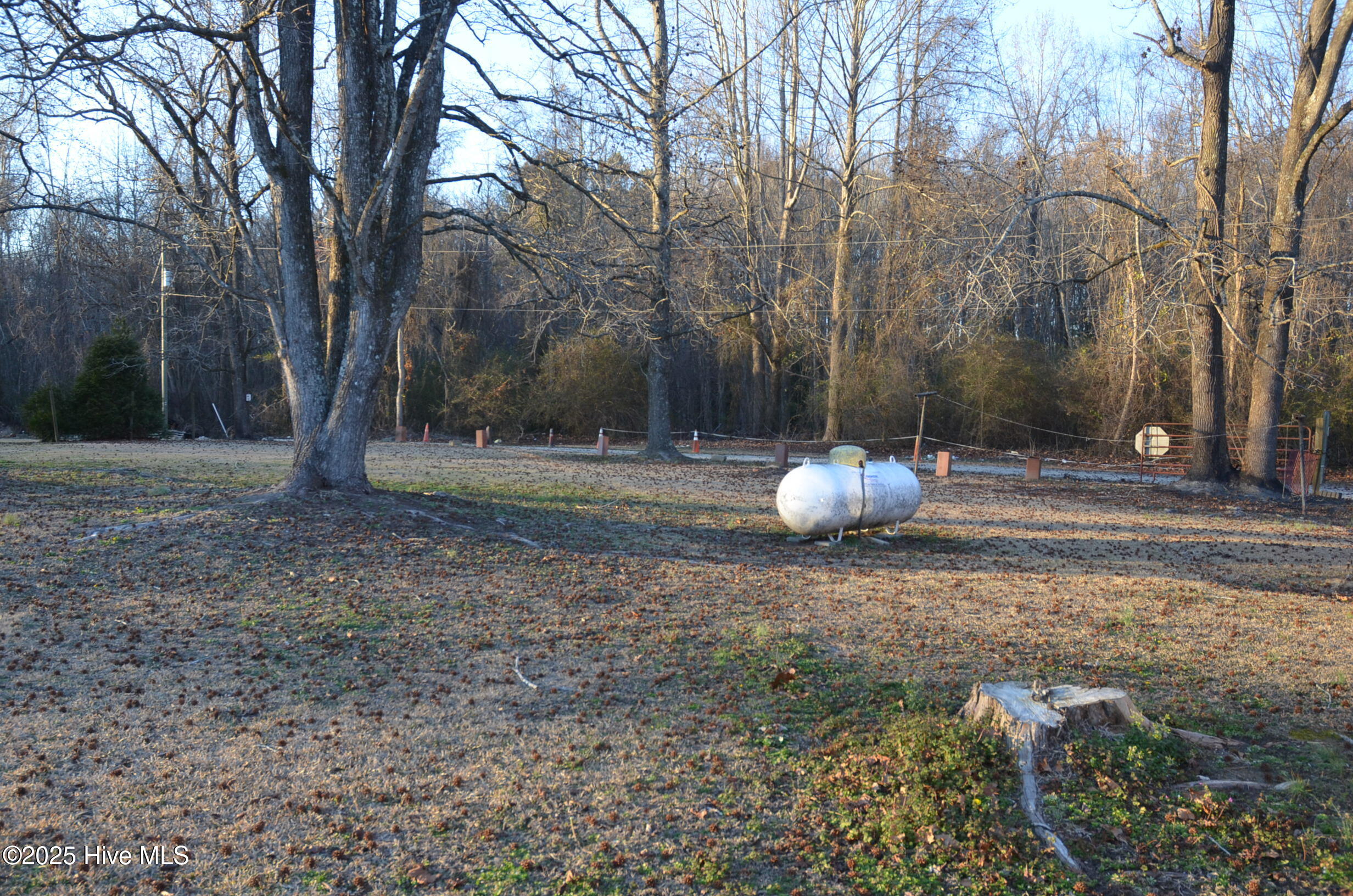 12652 Highway 258 Scotland Neck, NC 27874 - Photo 26 of 26 Large backyard