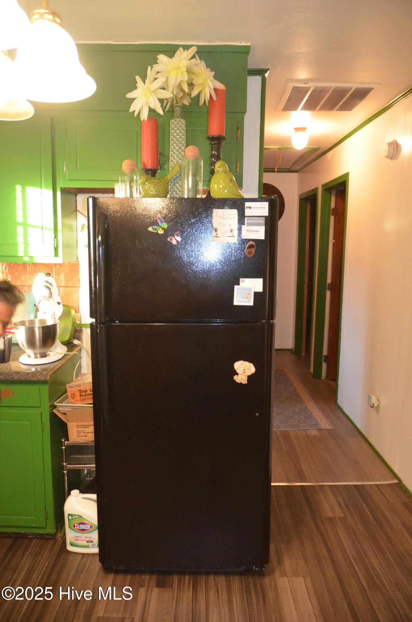 12652 Highway 258 Scotland Neck, NC 27874 - Photo 4 of 26 Refrigerator conveys