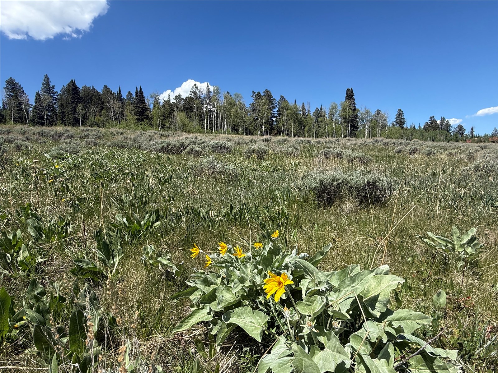 Tbd Spring Creek Ranch Road Silverthorne, CO 80498 - Photo 32 of 48
